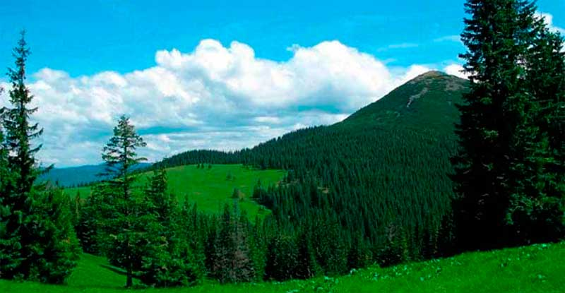 Карпати